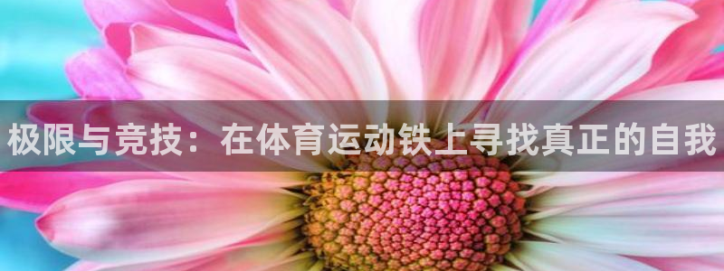 JJB竞技宝官方正版app代理：极限与竞技：在体育运