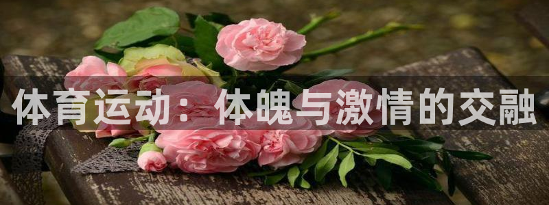 JJB竞技宝官方正版app娱乐40996：体育运动：
