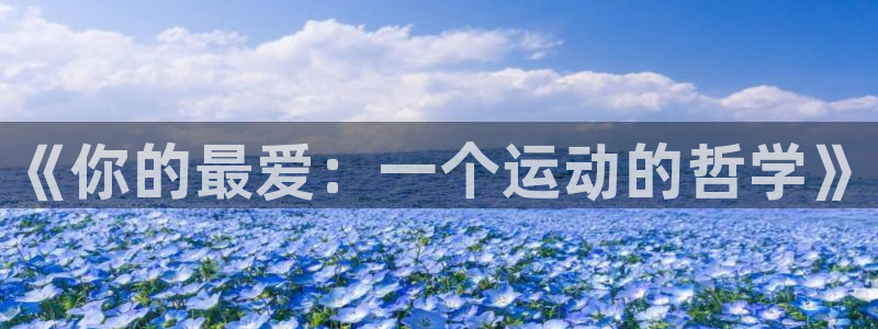JJB竞技宝官方正版app娱乐下载：《你的最爱：一个