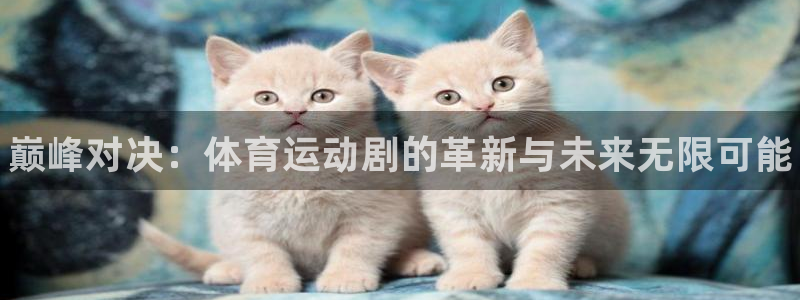 JJB竞技宝官方正版app集团简介：巅峰对决：体育运