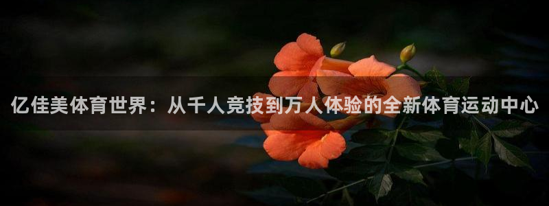JJB竞技宝官方正版app娱乐首页网站大全：亿佳美体