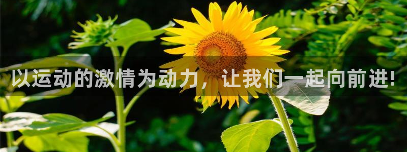 JJB竞技宝官方正版app集团官网首页网址：以运动的