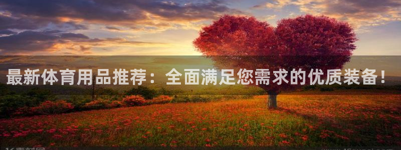 JJB竞技宝官方正版app娱乐平台：最新体育用品推荐