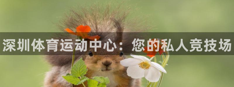 JJB竞技宝官网下载平台假的吗是真的吗吗：深圳体育运