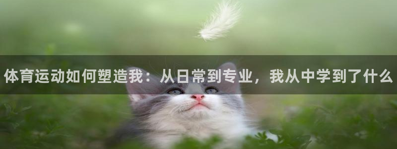 JJB竞技宝官网下载平台注册要钱吗是真的吗：体育运动