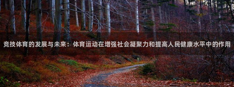 JJB竞技宝官网下载平台注册流程图：竞技体育的发展与