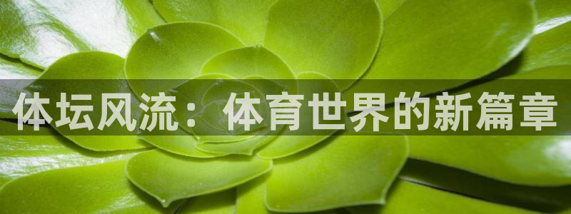 JJB竞技宝官网下载：体坛风流：体育世界的新篇章