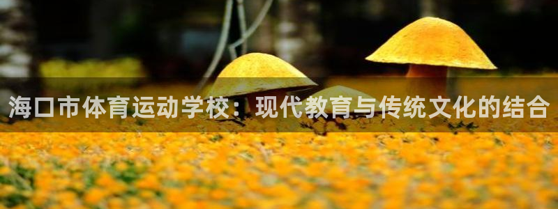JJB竞技宝官方正版app娱乐首页官网下载：海口市体