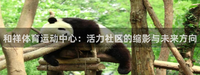 JJB竞技宝官网下载平台假的吗是真的吗：和祥体育运动