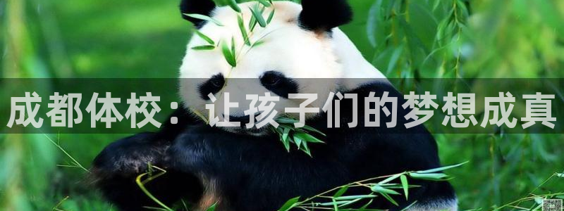 JJB竞技宝官方正版app代理：成都体校：让孩子们的