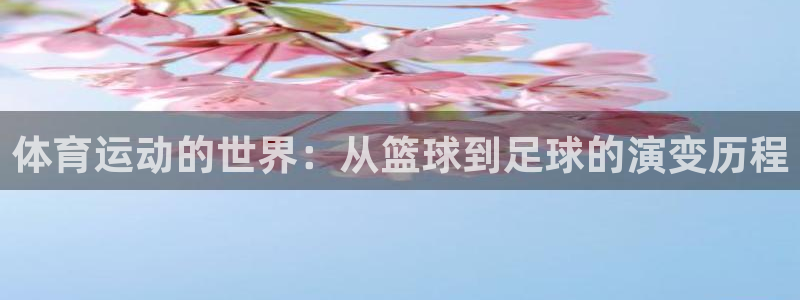 海南JJB竞技宝官网下载：体育运动的世界：从篮球到足