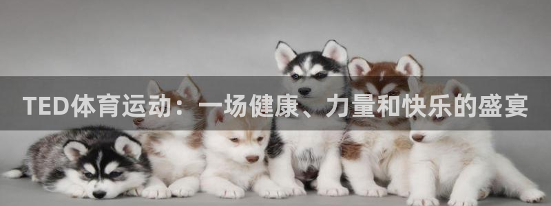 JJB竞技宝官网下载招商电话号码是多少啊：TED体育