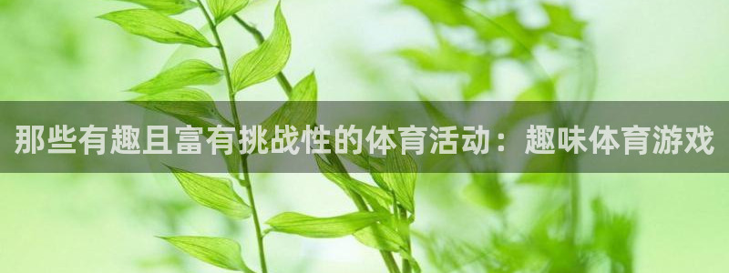 JJB竞技宝官方平台体育