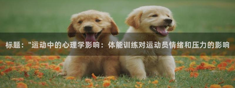 JJB竞技宝官方正版app新能源