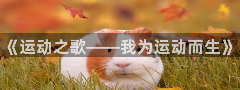 JJB竞技宝官网下载平台假的吗是真的吗吗：《运动之歌——我为