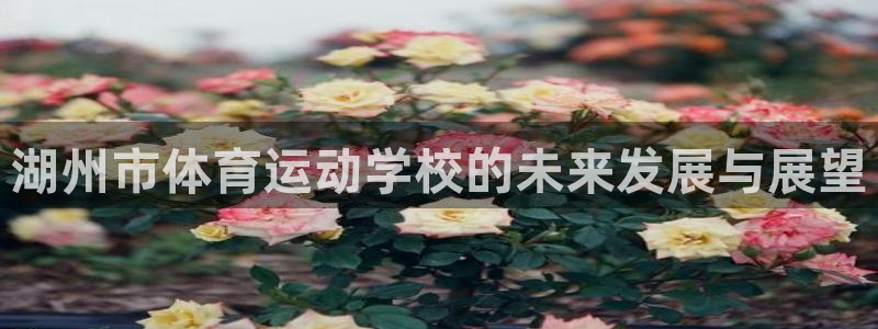 JJB竞技宝官方正版app代理：湖州市体育运动学校的未来发展
