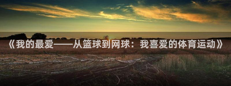 JJB竞技宝官网下载：《我的最爱——从篮球到网球：我喜爱的体
