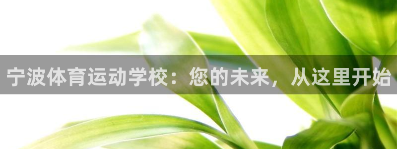JJB竞技宝官方正版app新能源：宁波体育运动学校：您的未来