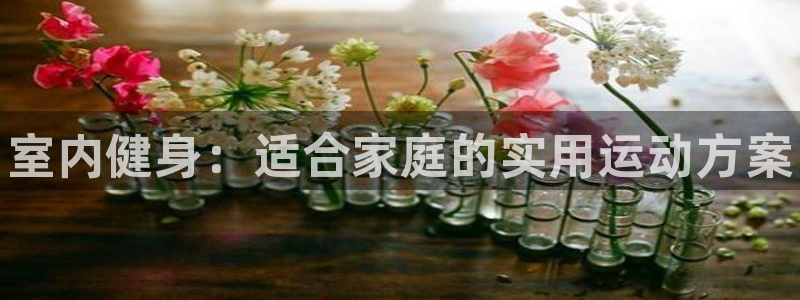 JJB竞技宝官网下载招商电话是多少：室内健身：适合家庭的实用