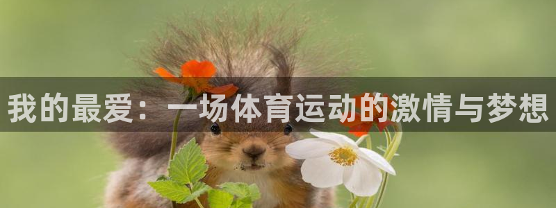 JJB竞技宝官网下载平台注册要钱吗：我的最爱：一场体育运动的