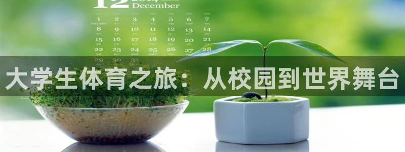 JJB竞技宝官网下载招商电话号码是多少号