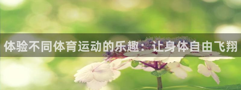 JJB竞技宝官方正版app集团logo