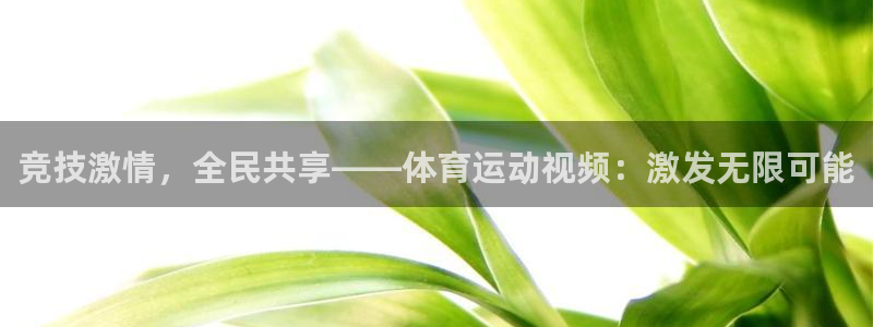 JJB竞技宝官网下载娱乐：竞技激情，全民共享——体育运动视频