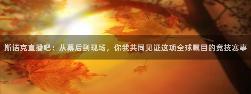 乐球直播看球直播：斯诺克直播吧：从幕后到现场，你我共同见证这项全球瞩目的竞技赛事
