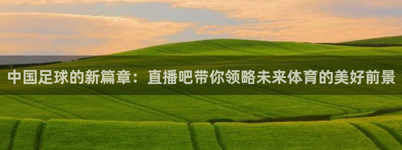 乐球免费直播nba：中国足球的新篇章：直播吧带你领略未来体育的美好前景