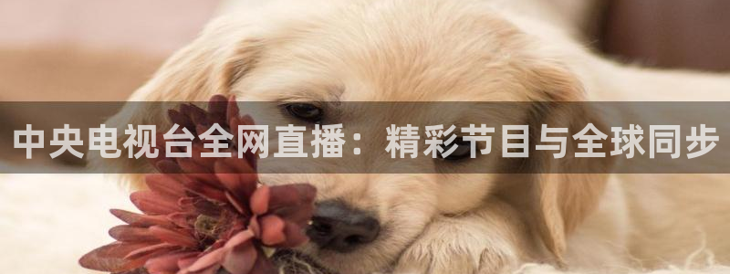 乐球直播吧：中央电视台全网直播：精彩节目与全球同步
