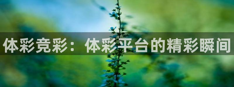 乐球看球直播：体彩竞彩：体彩平台的精彩瞬间
