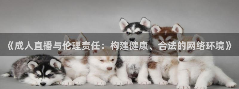 乐球直播网页：《成人直播与伦理责任：构建健康、合法的网络环境》