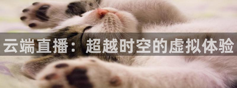 乐球足球直播在线观看免费：云端直播：超越时空的虚拟体验