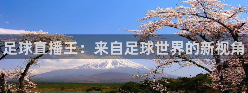 乐球直播app官网入口安卓版：足球直播王：来自足球世界的新视角