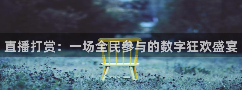 乐球直播在线看：直播打赏：一场全民参与的数字狂欢盛宴